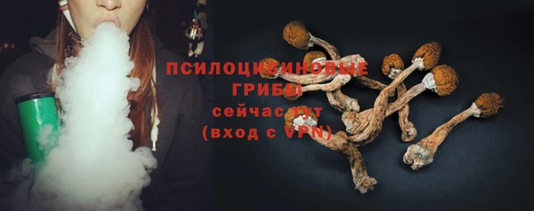 эйфоретик Богданович